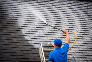 Roof Cleanings