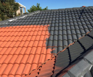 Roof painting